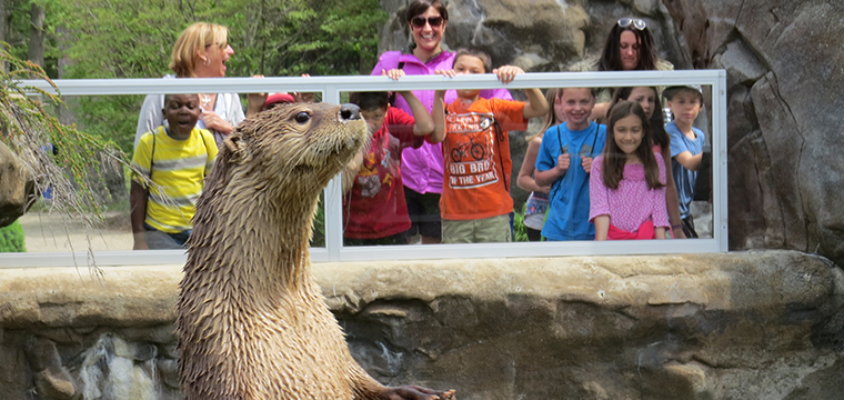 Buttonwood Park Zoo